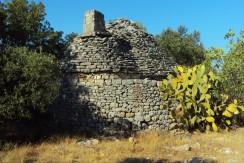 Fasano – C.da Giardinelli Fasano – C.da Giardinelli