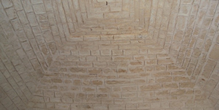 DSC04402_1024x683